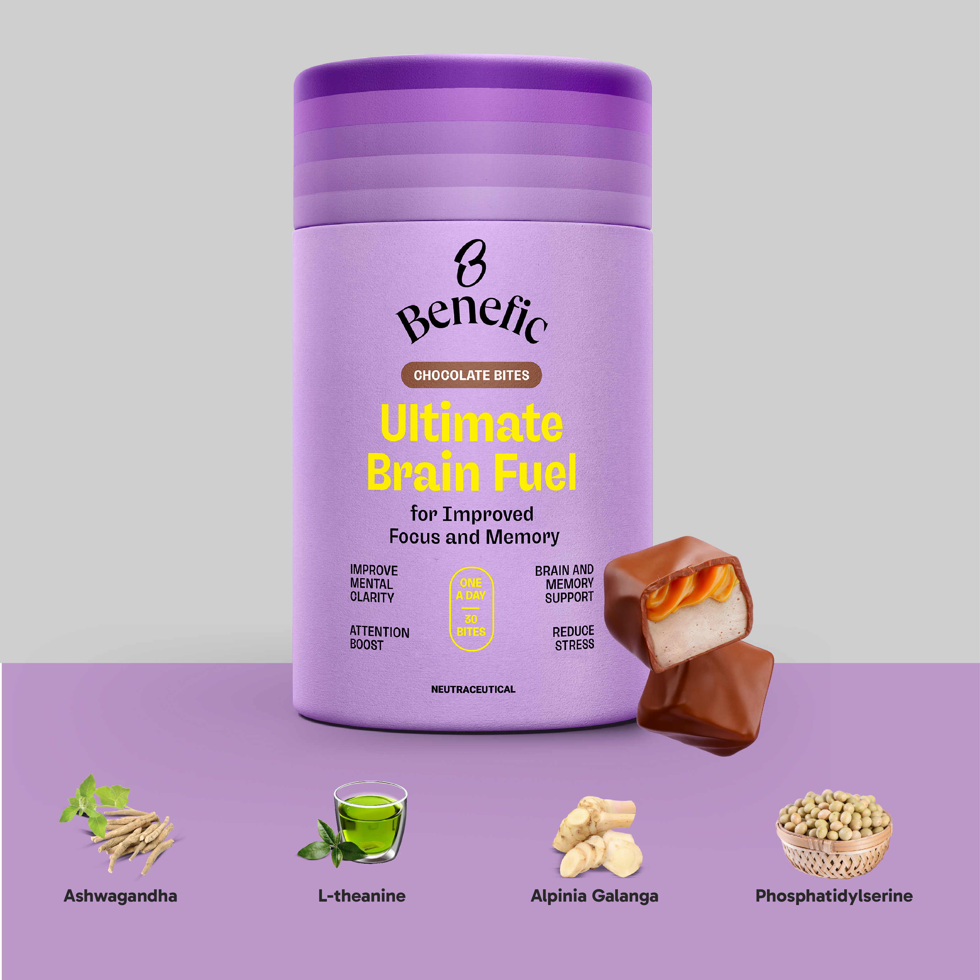 image banner Brain Fuel_Module 4