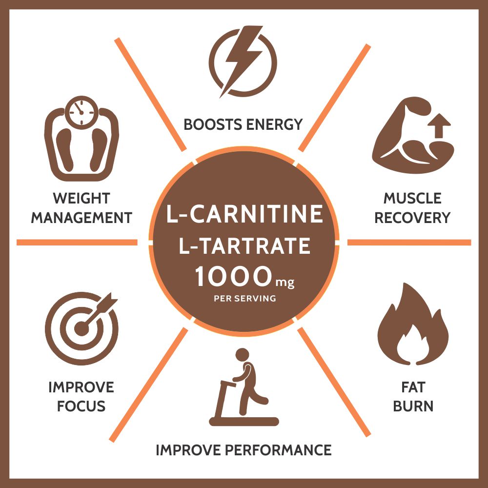 benefits of l carnitine tartrate L-Carnitine Benefits, Uses, Dosage, Foods, Side Effects main image 1