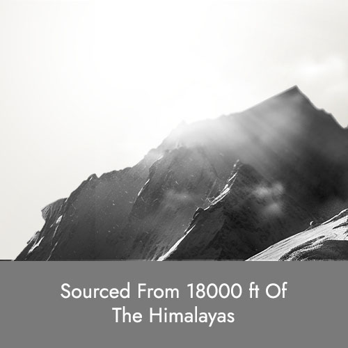 image grid himalayan shilajit 3