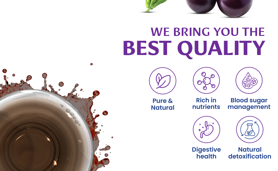 image banner PT image 3