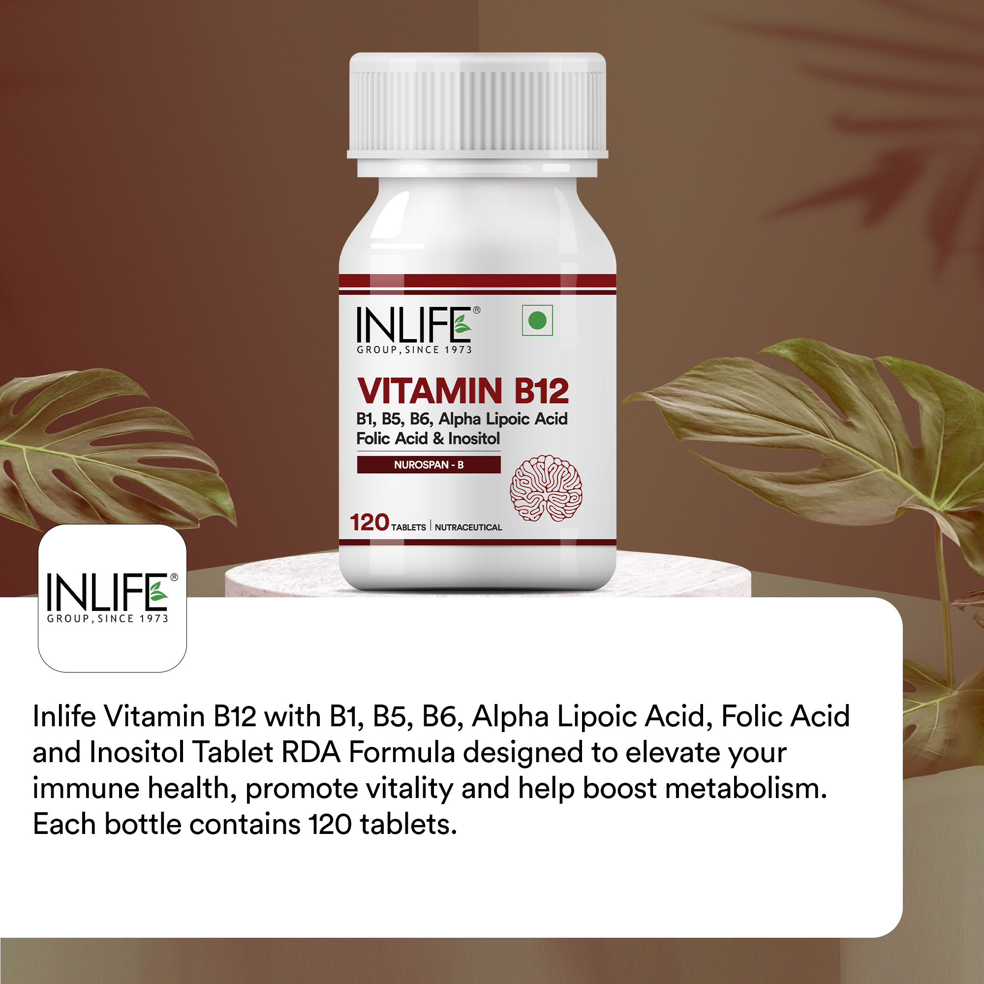 Inlife Vitamin B12 with B1, B5, B6, Alpha Lipoic Acid, Folic Acid ...